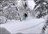 Snow Okami Weekly Tours
