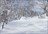 Snow Okami Weekly Tours