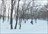 Snow Okami Weekly Tours