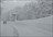 Snow Okami Weekly Tours