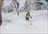 Snow Okami Weekly Tours