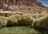Explore Atacama & Valle Nevado