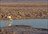 Explore Atacama & Valle Nevado