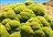 Explore Atacama & Valle Nevado