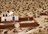 Explore Atacama & Valle Nevado