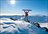 Guided Ski Day Tours