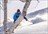 Central Hokkaido Backcountry