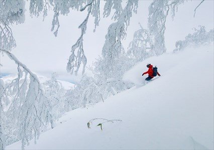 Yuki Yama Backcountry Tour