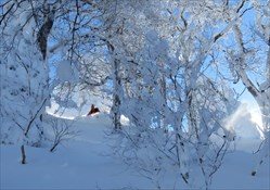 Tohoku Backcountry Tour