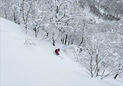Tohoku Explorer