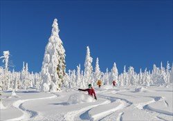 Selkirk Powder - Day Cat Skiing