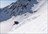 Telluride Helitrax - Day Heli Skiing