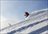Powder Stagecoach - Day Cat Skiing
