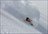 Eskimo Freeride Cat Skiing Packages