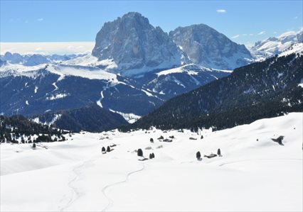 Freeride Skiing in the Dolomites