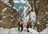 Freeride Skiing in the Dolomites