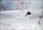 Chisenupuri Cat Skiing
