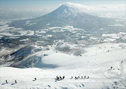 Niseko Guided Day Tours