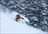 Jones Pass Cat Skiing