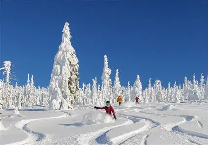 Selkirk Powder - Day Cat Skiing